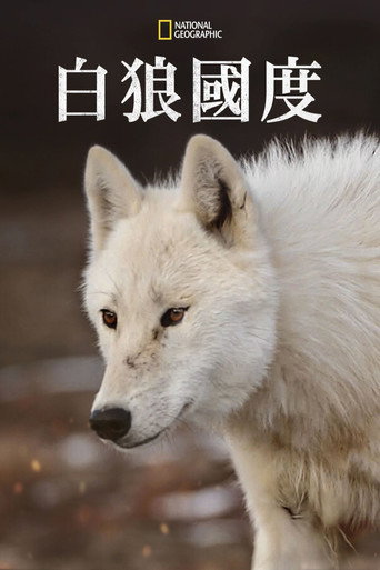 雪狼王国海报