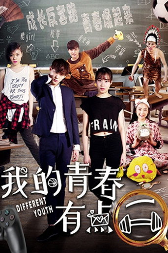 我的青春有点二海报