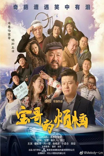 宝哥的烦恼海报
