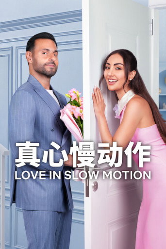 真心慢动作海报