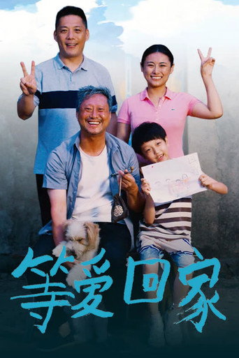 等爱回家海报