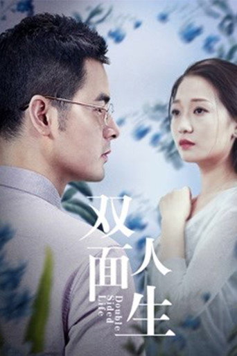 双面人生海报