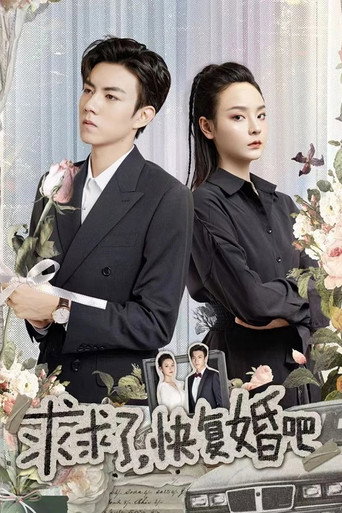 求求了,快复婚吧海报