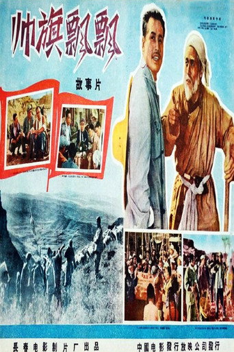 帅旗飘飘海报