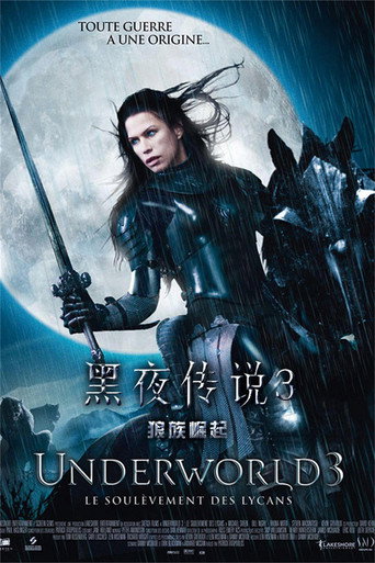 黑夜传说3:狼族崛起海报