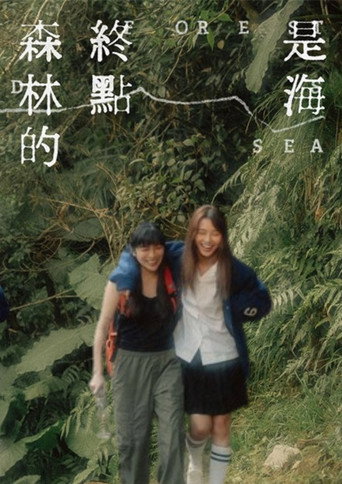森林的终点是海海报