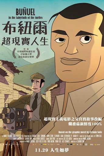 布努埃尔之神龟迷宫海报
