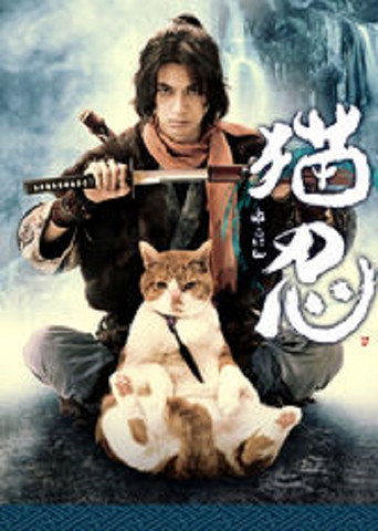 猫忍海报