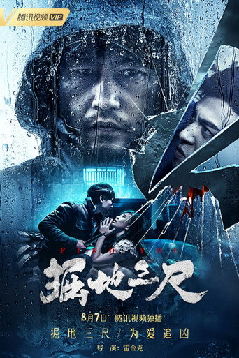 掘地三尺海报