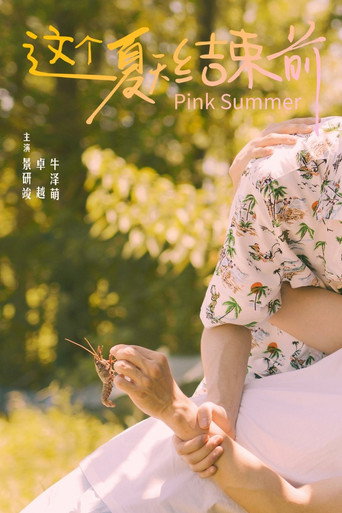 这个夏天结束前海报