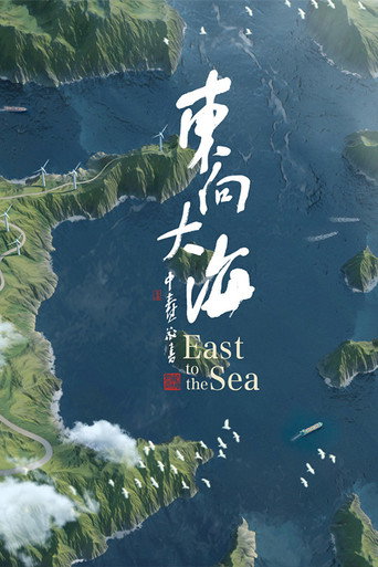 东向大海海报