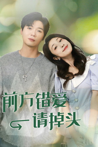 前方错爱请掉头海报