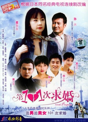 第101次求婚海报
