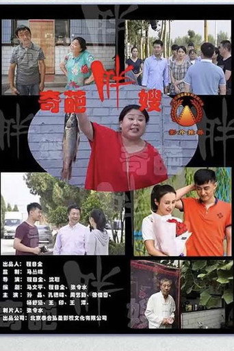 奇葩胖嫂海报