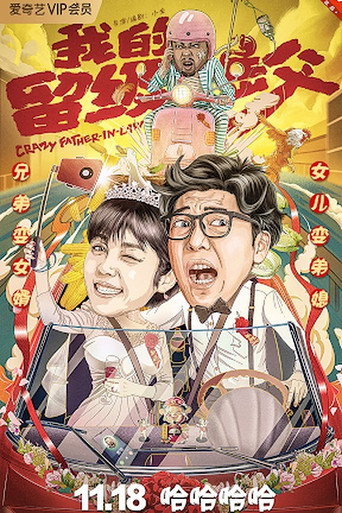 我的留级岳父海报