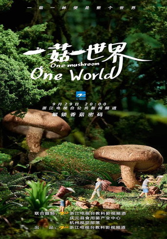一菇一世界海报