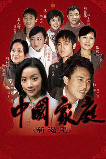 中国家庭之新渴望海报