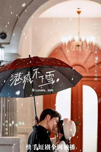 港城不下雪海报