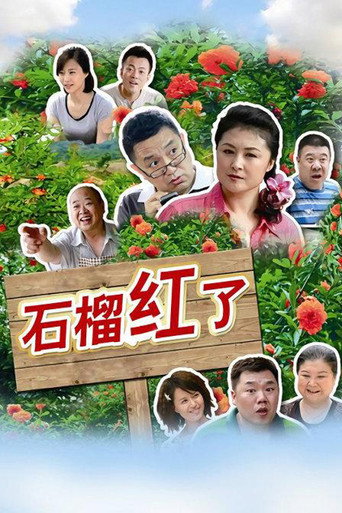 石榴红了海报