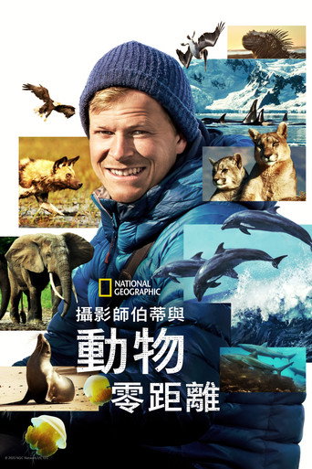 贝尔蒂·格雷戈里：与动物零距离海报