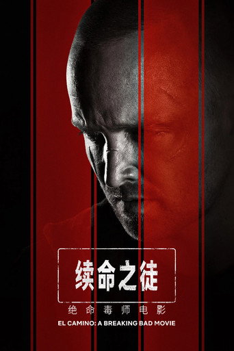 续命之徒:绝命毒师电影海报
