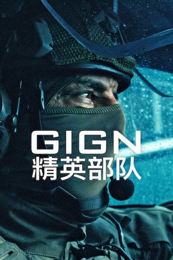 GIGN:精英部队海报