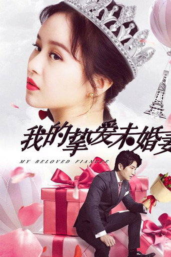 我的挚爱未婚妻海报