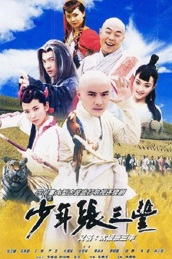 少年张三丰海报