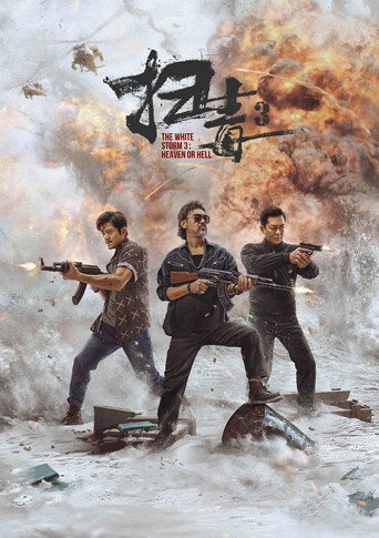 扫毒3:人在天涯海报