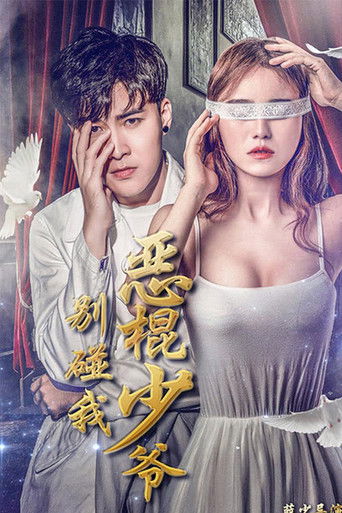 恶棍少爷别碰我海报