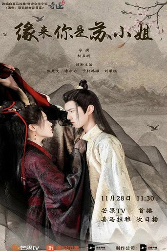 缘来你是苏小姐海报