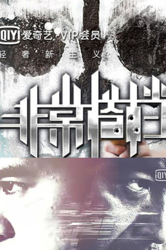 非常搭档海报