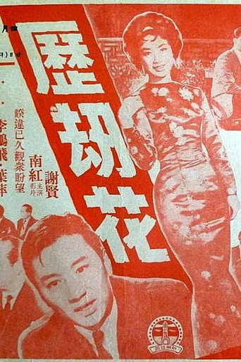 历劫花海报