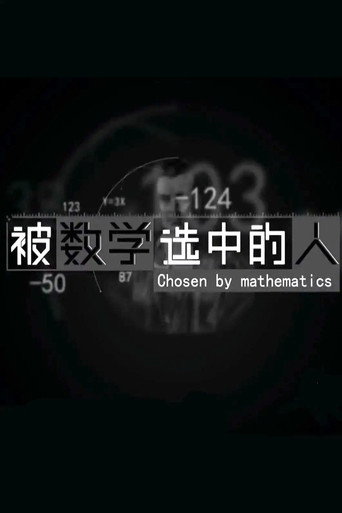被数学选中的人海报