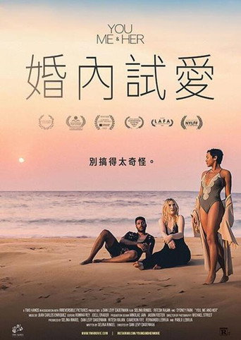你、我和她海报