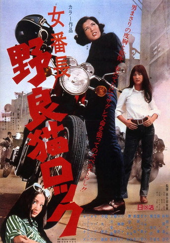 野良猫洛克:女番长海报