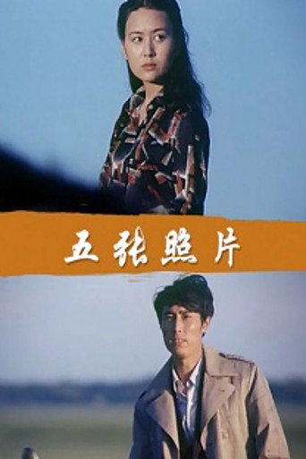 五张照片海报
