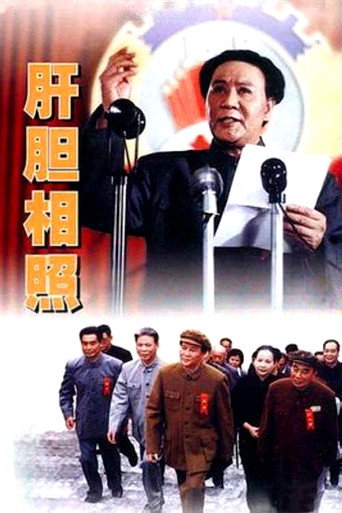肝胆相照海报