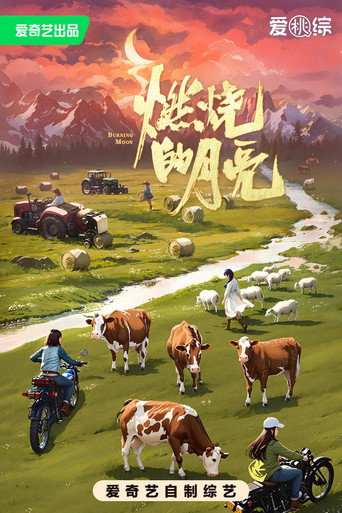 燃烧的月亮海报
