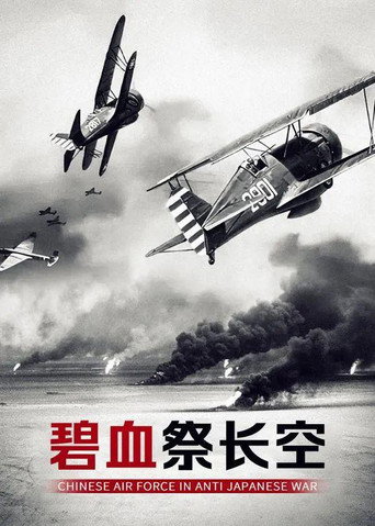 碧血祭长空海报