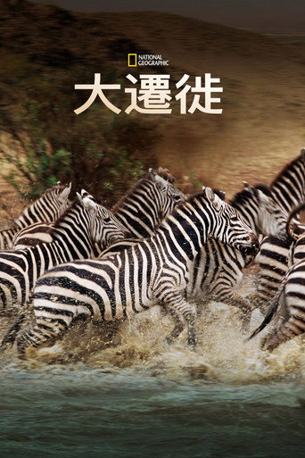 国家地理:大迁徙海报