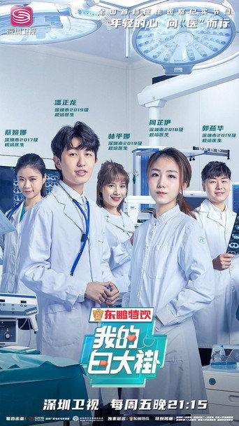 我的白大褂海报
