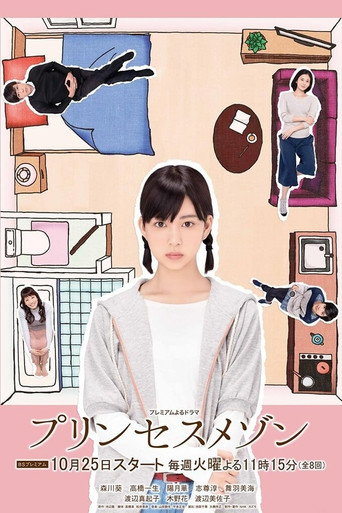 公主小屋海报