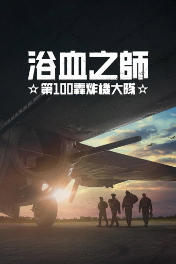 浴血之师:第100轰炸机大队海报