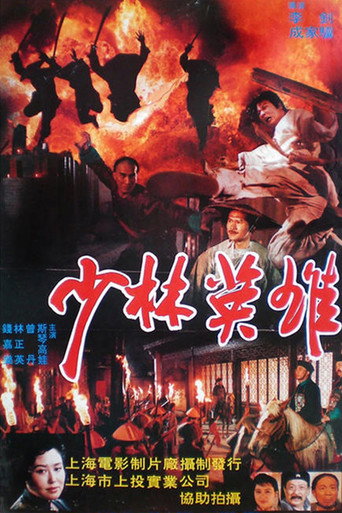 少林英雄海报