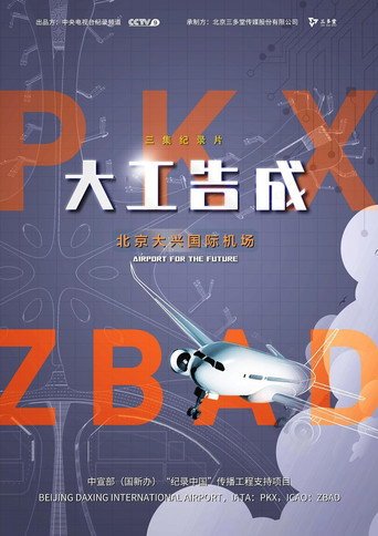 大工告成:北京大兴国际机场海报
